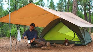 Building The Perfect Forest Camp With My Dog . Nature Sounds Asmr