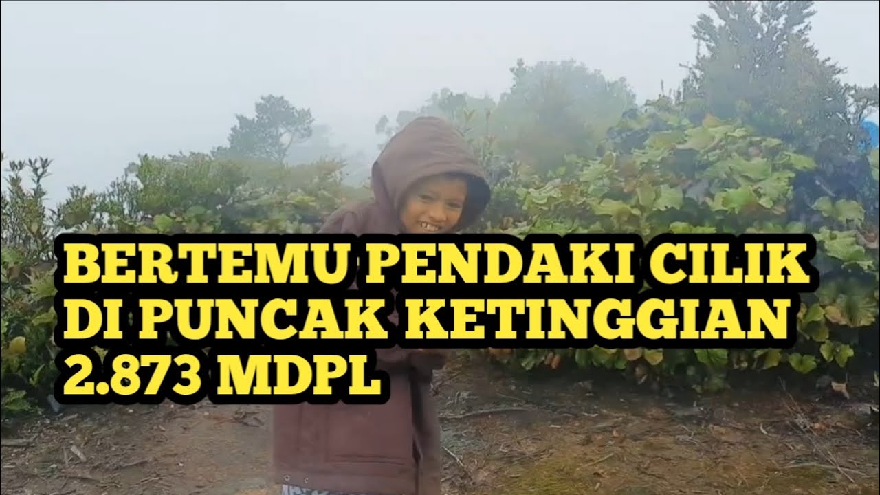 Perjalanan yang exrim gunung mambulilling 2.873 mdpl #02
