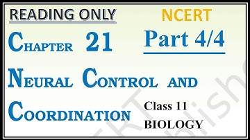 (Reading only) Neural control & Coordination | Part 4/4 | Class 11 | BIOLOGY | NEET | NCERT | Ch- 21