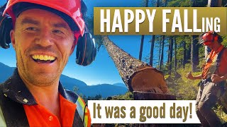 Danger trees | Butt log windshake & bouncing trees