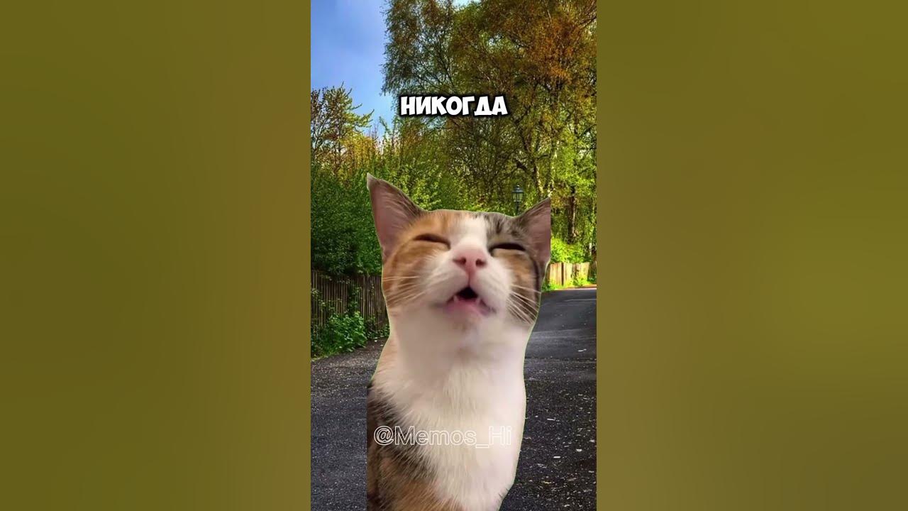 ИДЕАЛЬНЫЙ СЫН! 😂😂😂 - YouTube