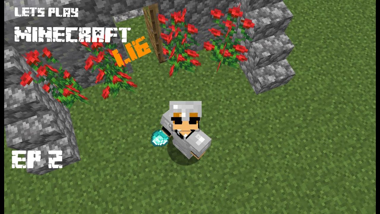 Minecraft 1.16 Lets play: Finally found diamonds | Survival EP 2 - YouTube