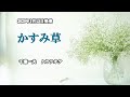 『かすみ草』千葉一夫 カラオケ 2020年1月15日発売