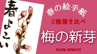 【春の絵手紙】梅のかきかた　お子様や初心者向　簡単アート　心を送る絵手紙　分かりやすく解説