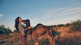 Getting A Kiss From My Pet Dromedary Camel (Baby Is So Sweet)