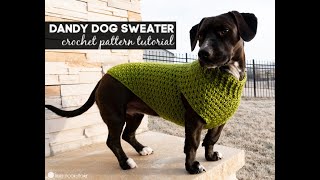 How to make a seamless dog sweater: A step-by-step knitting