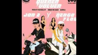 Jon Z X Ñengo Flow - Vas a Querer Volver (Audio)