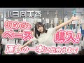 小日向美香初めてのベース購入！運命の一本に出会うまで