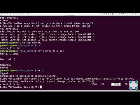 Инструкции Linux - #33 урок. Копирование файлов на сервер и обратно