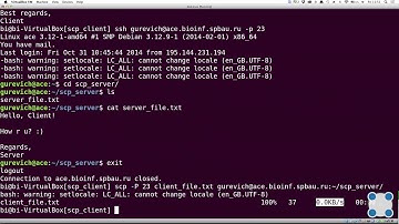 Инструкции Linux - #33 урок. Копирование файлов на сервер и обратно