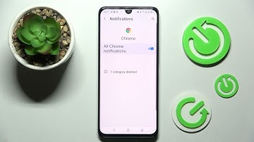 How to Turn On / Turn Off the App Notifications on the TCL 30