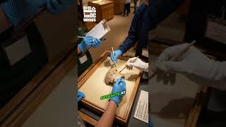 Real Washington DC Field Trips that Change Students #history #edu #DC #fieldtrip #students