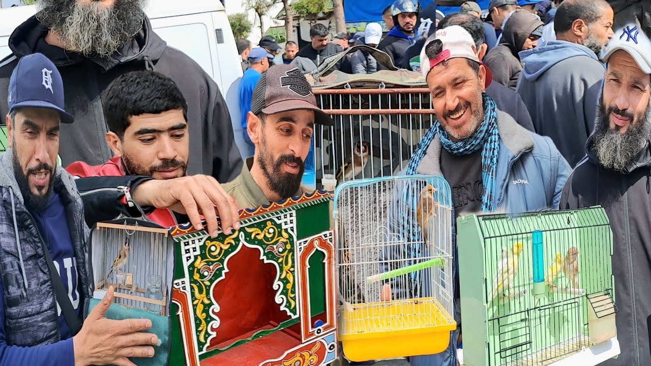 سوق الطيور والحيوانات بالدار البيضاء 🇲🇦اليوم السبت 2026/2/28 ....