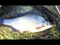 Catching Roach, Bream and Hybrid Fishing on the Canal in Co  Kildare