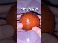☆手作りパキパキスクイーズ☆