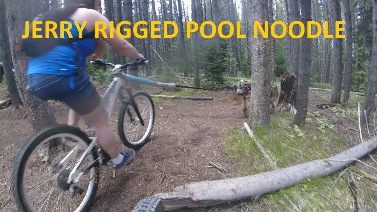 How to Jerry Rig a Pool Noodle For Bikejoring YouTube