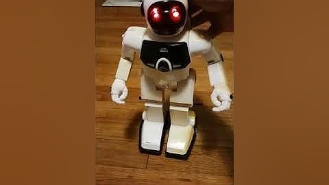 Silverlit: MaxiBot (Program-A-Bot)