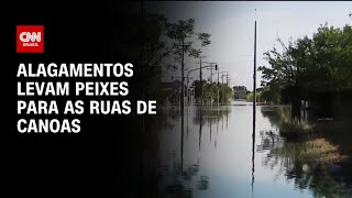 Alagamentos levam peixes para as ruas de Canoas | LIVE CNN