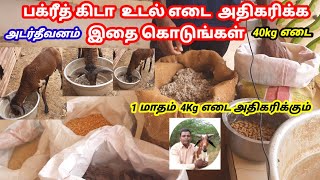 பக்ரீத் கிடா உடல் எடை அதிகரிக்க / உங்க கிடா 40கிலோ வரும் / அடர்தீவனம் / @tamilvivasayi