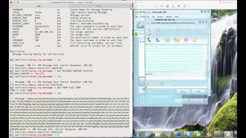 Vi-Vo VoIP client - SIP Message based PoC exploit (0 Day)