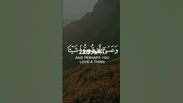 من سورة البقرة الايه 216 الصفحة 34  From Surat Al-Baqarah, verse 216, page 34