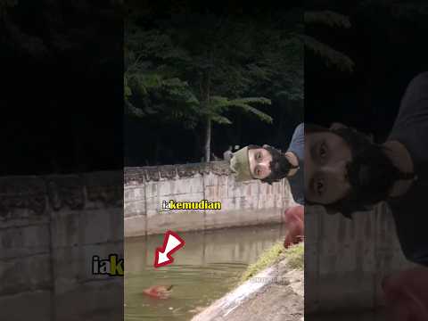 Video: Kunjungi Kebun Binatang Samara! Tempat rekreasi dan hiburan di Samara