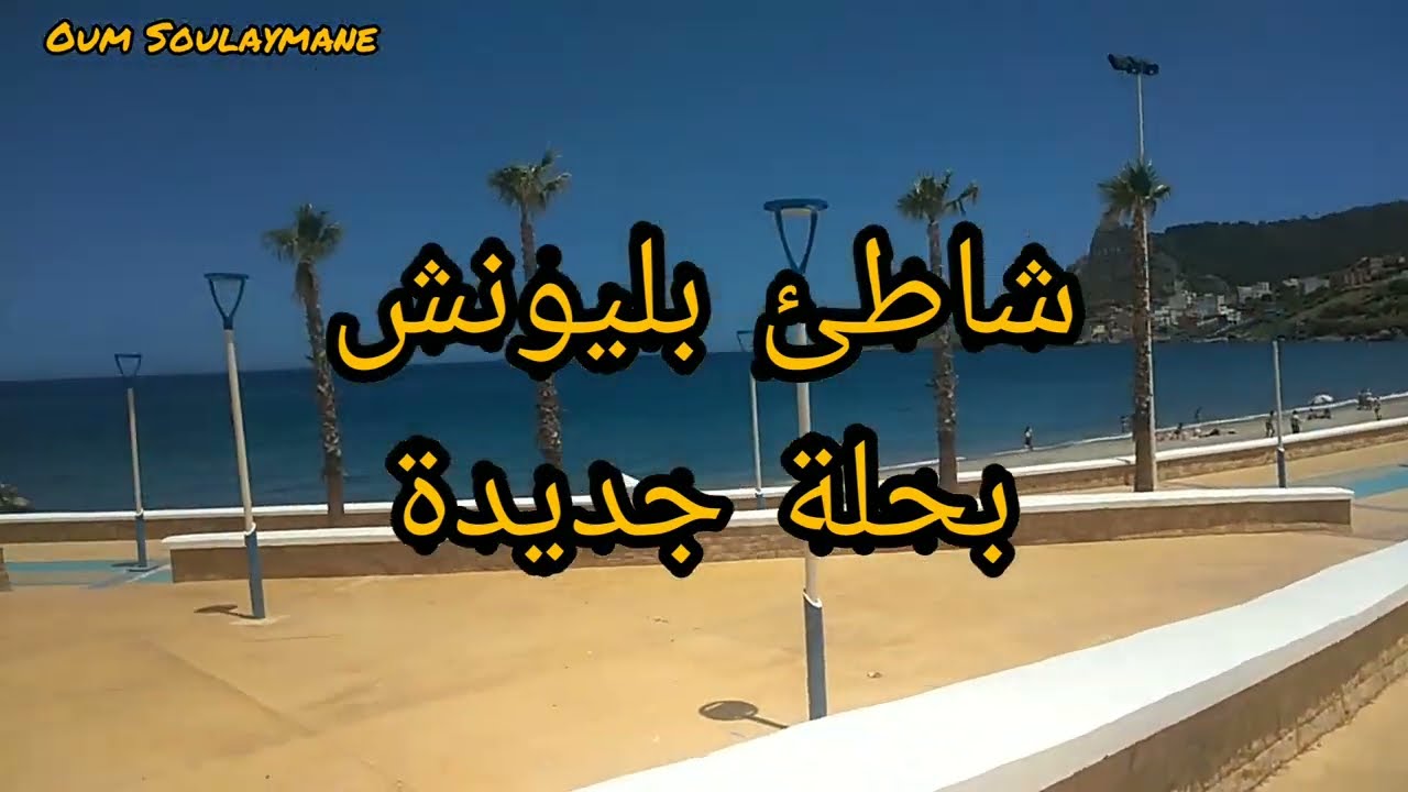 بليونش بحلة جديدة