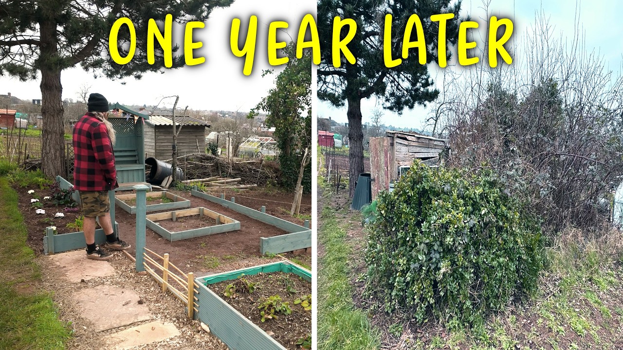 Начинает формироваться новый огород | Преображение огорода