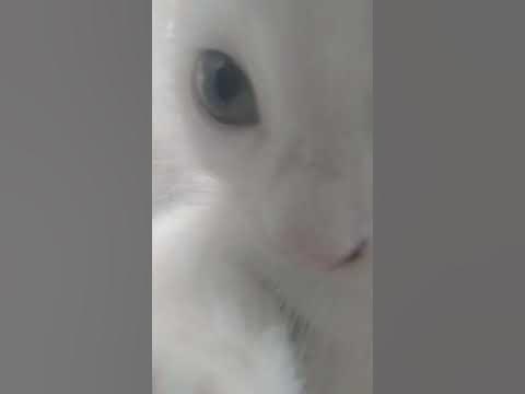 malinka - YouTube