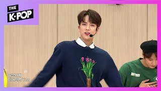 THE BOYZ, Bloom Bloom [SCHOOL ATTACK 2019]