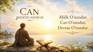 Can Dediğin Mülk Onundur, Can Onundur Anadolu Rock & Tasavvufi Rock (1970S Vintage Rock)