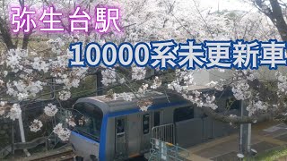 【相鉄】桜満開の弥生台駅を発車する10000系未更新車
