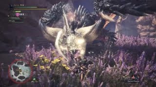 Monster Hunter World Beta Full Nut Cb
