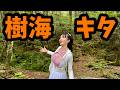 【富岳風穴】穴があったら入りたい人必見!!暑い日は天然クーラーで涼むしかねぇっ!富士の樹海の奥にある洞窟を探検だ!ワイ…無事に帰れるんか?あと!ゆるキャンの聖地!道の駅 しもべに行く!