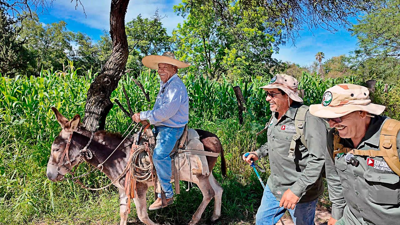 Este BURRITO son mis patas, pero también puedo montar a CABALLO