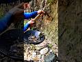 OMG Discovery! We Found a Gold-Filled Cliff!”#OMGDiscovery #GoldFound #Exploration #GoldRush #shorts