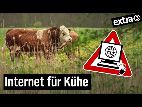 Glückliche Kühe, Happy Cows, Vache heureux