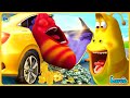 Larva full episode: Rich Kid | Hilarious cartoons compilation | Animated memes 2024