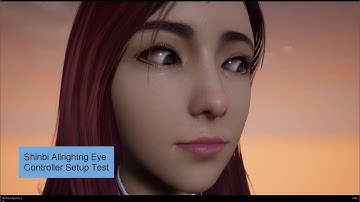 Shinbi Allrightrig Eye Controller Setup Test