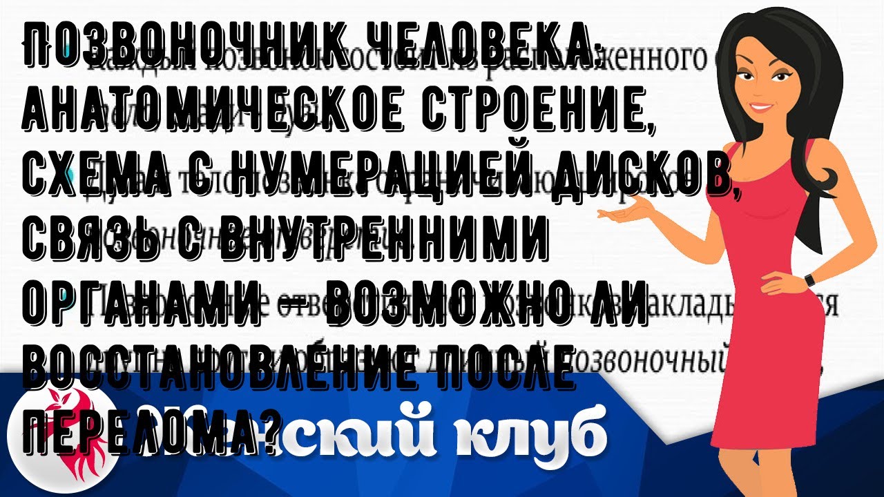 Позвоночник человека: анатомическое строение, схема с нумерацией дисков, связь с внутренними орган.