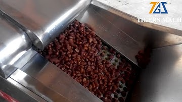 How to remove fruits core from Industrial date pitting machine, jujube core removing machine price