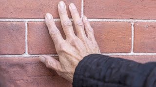 Revitalizing Denver's Historic Ninth Street Centennial House with Regent Nolbert Chavez