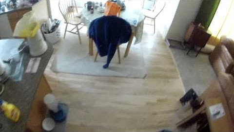 First flight with my new GoPRO video camera