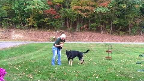 Sloan Delayed Reinforcement week 1-2