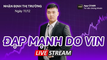 Nhận Định Thị Trường Chứng Khoán 11/12: Vnindex Đạp Vin Đè Thị Trường. Phân Tích Rủi Ro Tạo Đỉnh?