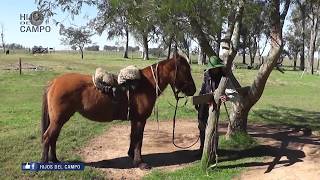 'Hijos del Campo'(PARTE 3) Acompañando un día de trabajo en el Campo