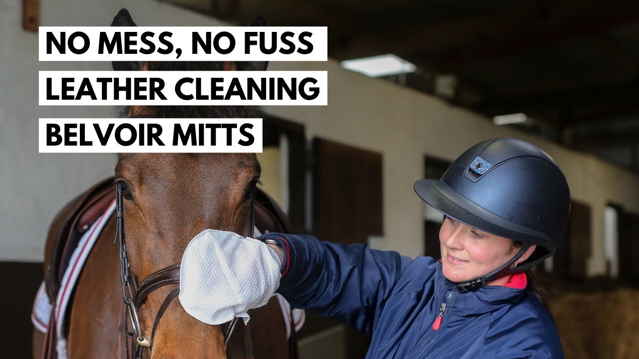 Belvoir Leather Cleaning Mitt | Carr & Day & Martin