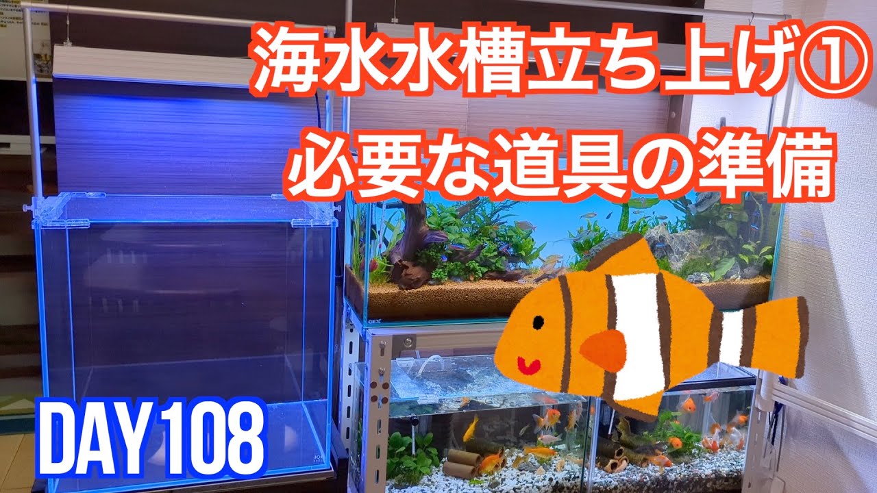 DAY108 海水水槽立ち上げ① 必要な道具の準備 - YouTube DAY108 海水水槽立ち上げ① 必要な道具の準備 - YouTube
