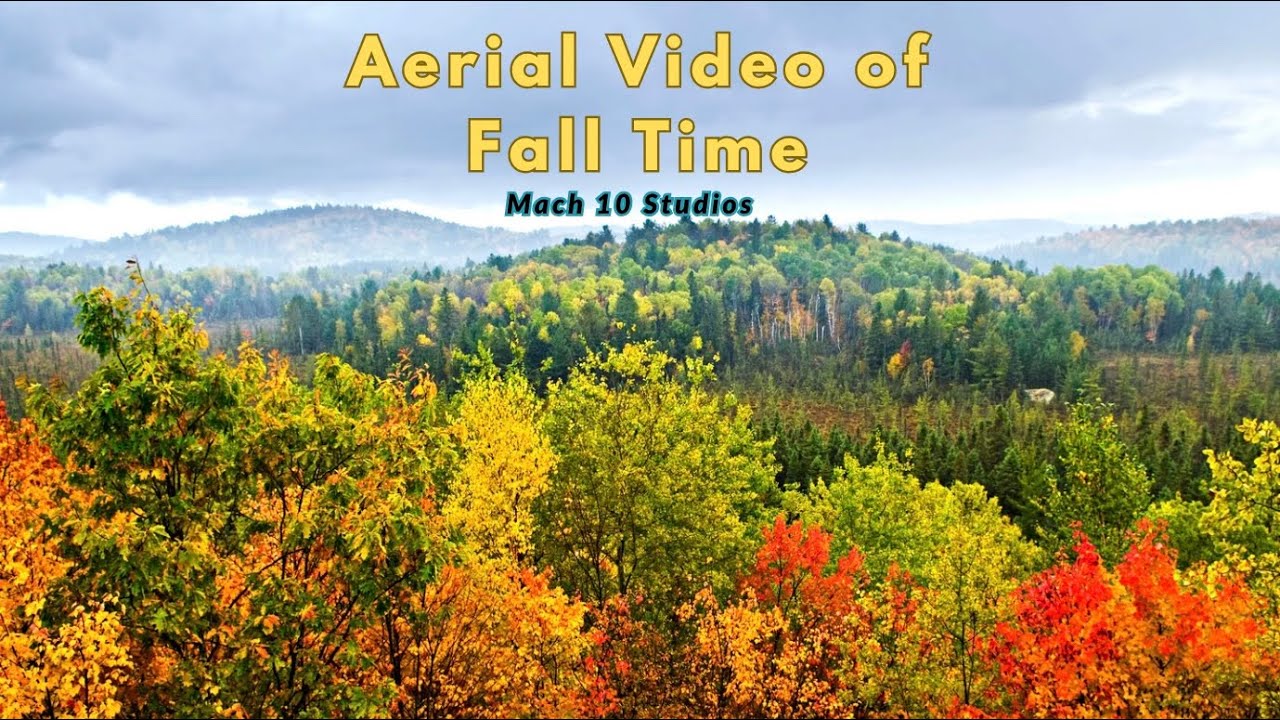 South Of London (Fall Season Aerial Views) 🚁 🎥