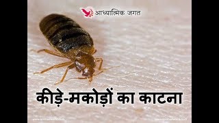 Homemade Remedies for Insect Bites - कीड़े-मकोड़ों के काटने का घरेलू आयुर्वेदिक उपचार